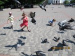 IMG_3998